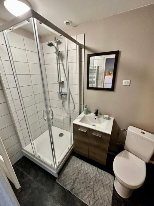 Artist'S Home - 65 M2 Spacieux & Confortable Chalons en Champagne Ngoại thất bức ảnh
